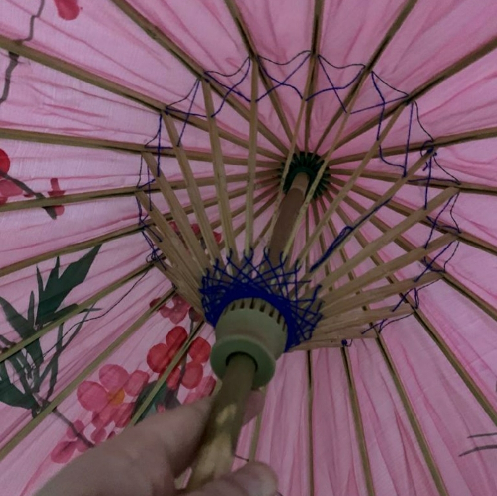 Pink Japanese cherry blossom parasol